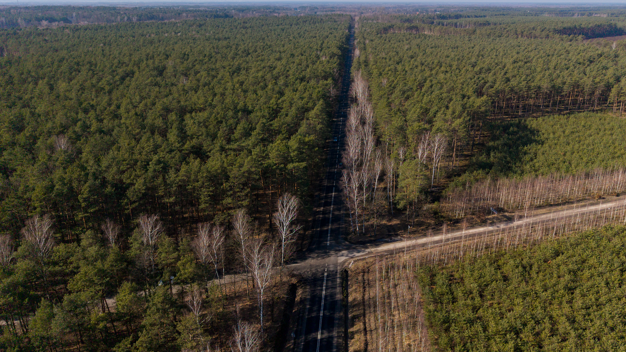 Poprawa przejezdności i bezpieczeństwa ruchu na drodze powiatowej nr 4719W Puszcza Mariańska-Mszczonów